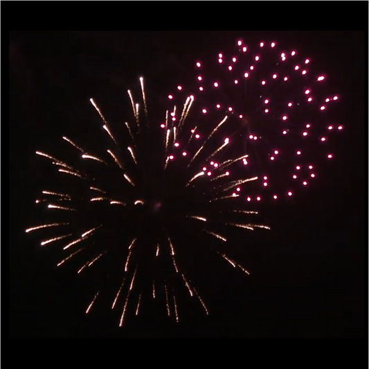 75mm Peanut Shell Lidu Fireworks Silver Peony and Pink Peony